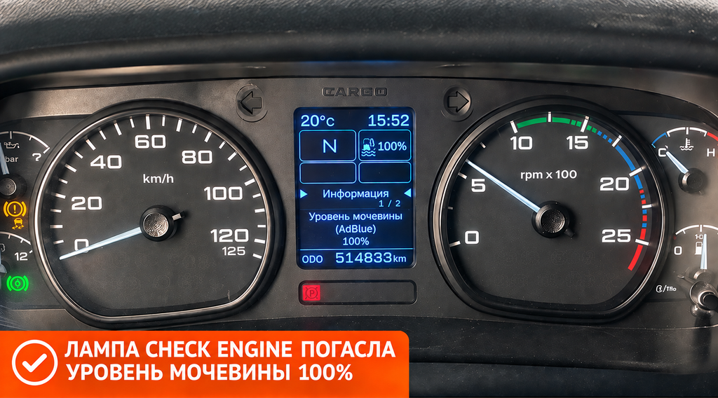 Ford Cargo после отключения AdBlue и увеличения мощности